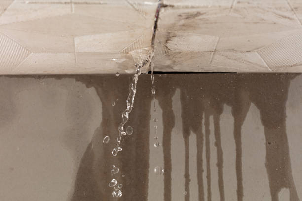 Professional Sewage Cleanup technician working in Milford, IL